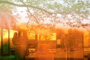 glass house series, james welling